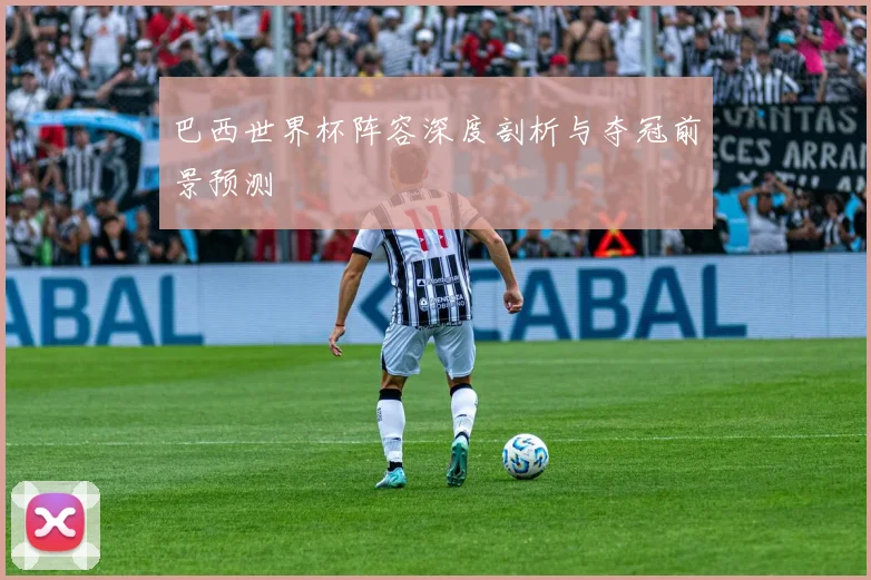 巴西世界杯阵容深度剖析与夺冠前景预测