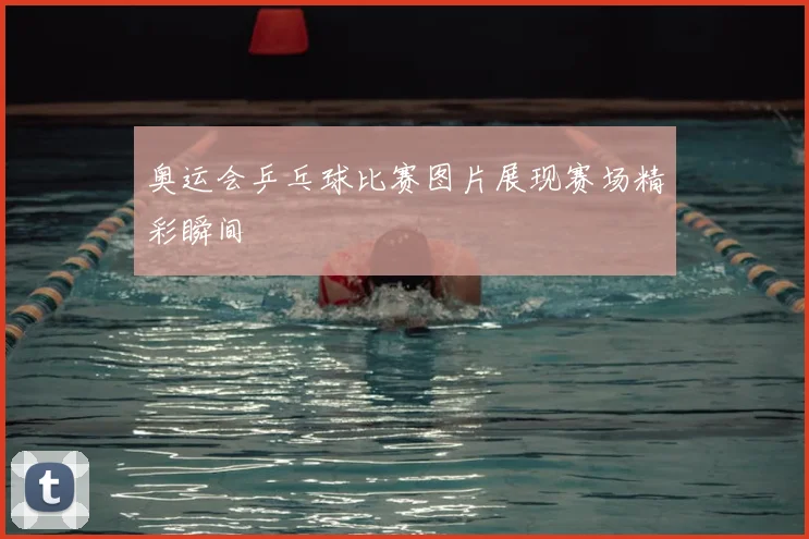 奥运会乒乓球比赛图片展现赛场精彩瞬间