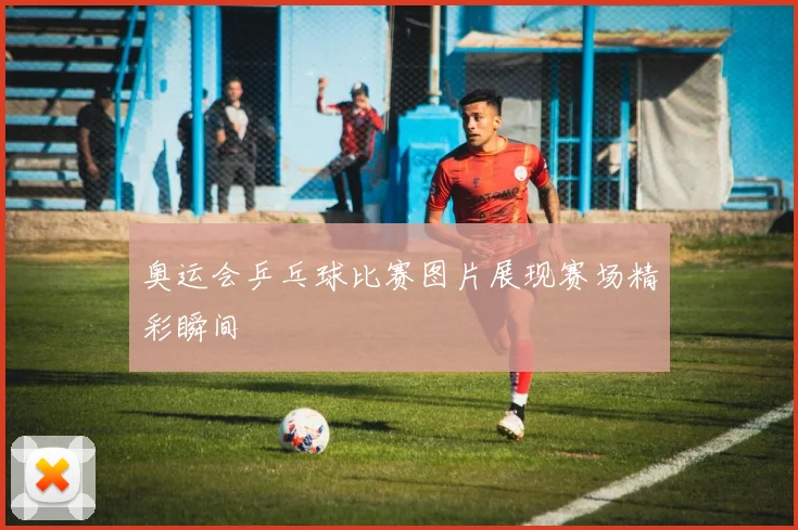 奥运会乒乓球比赛图片展现赛场精彩瞬间