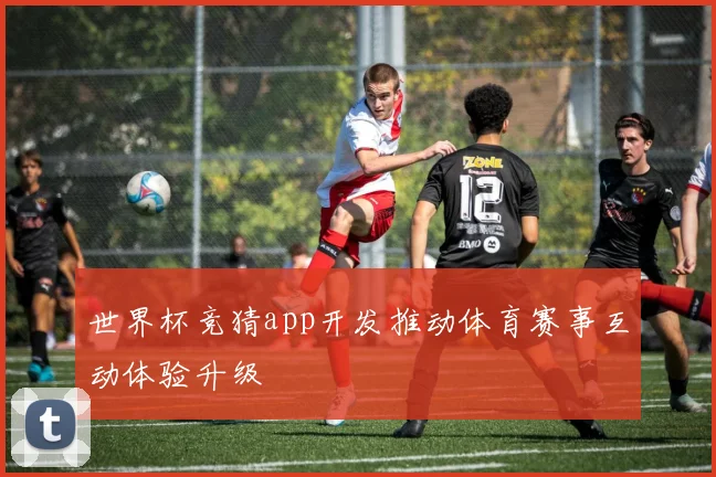 世界杯竞猜app开发推动体育赛事互动体验升级