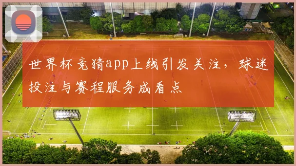 世界杯竞猜app上线引发关注,球迷投注与赛程服务成看点