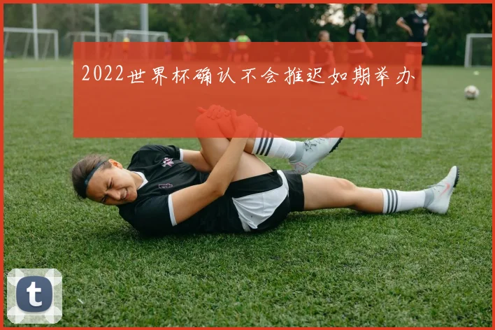 2022世界杯确认不会推迟如期举办