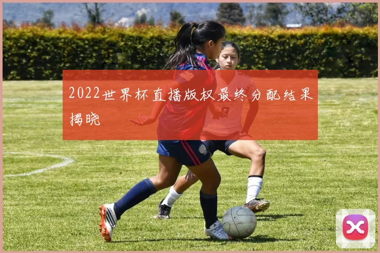 2022世界杯直播版权最终分配结果揭晓