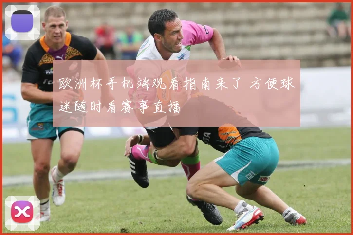 欧洲杯手机端观看指南来了 方便球迷随时看赛事直播